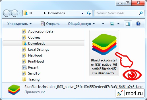 Завершение процесса скачивания программы BlueStacks App Player на компьютер