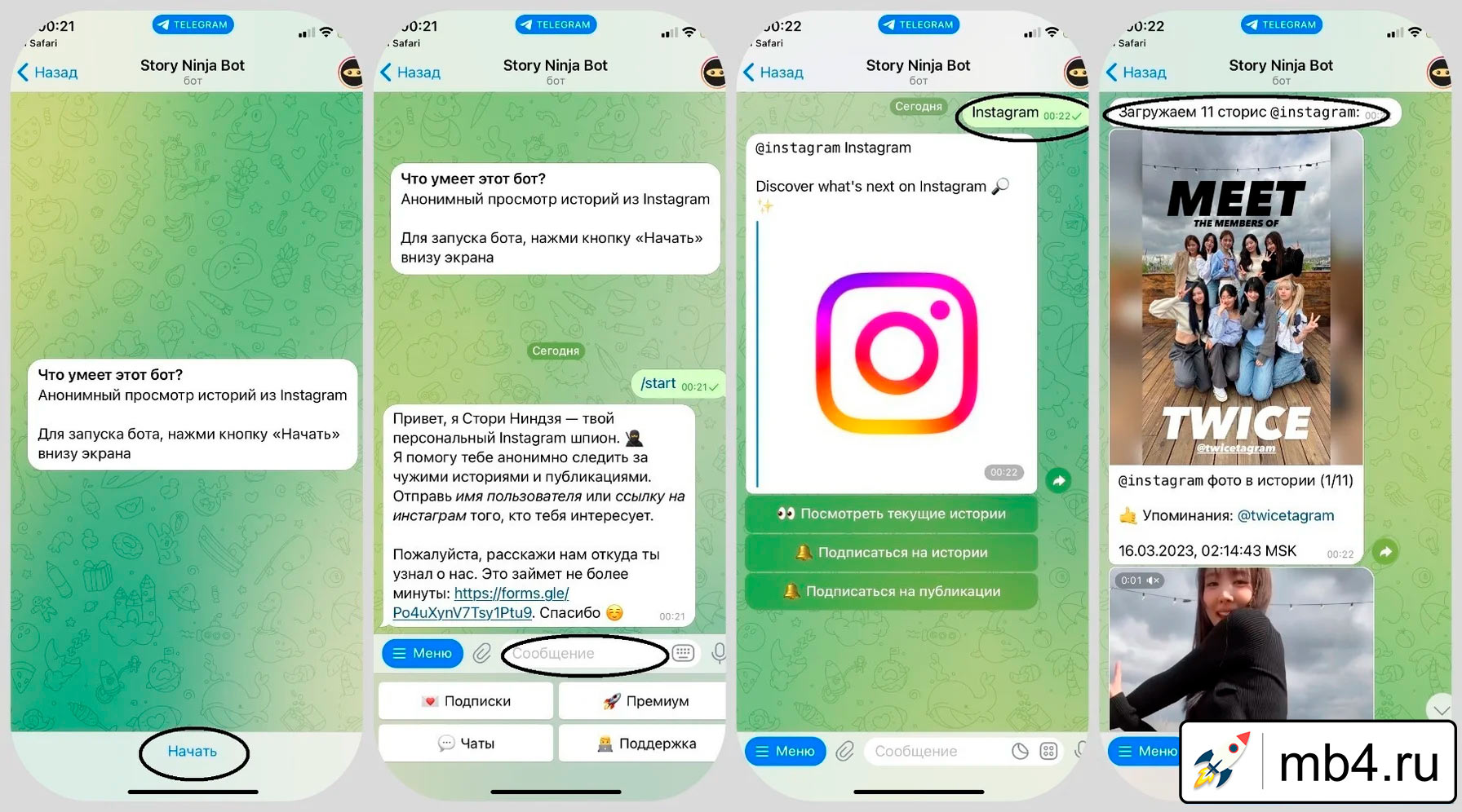 Telegram-помощники для анонимного просмотра сторис в Instagram