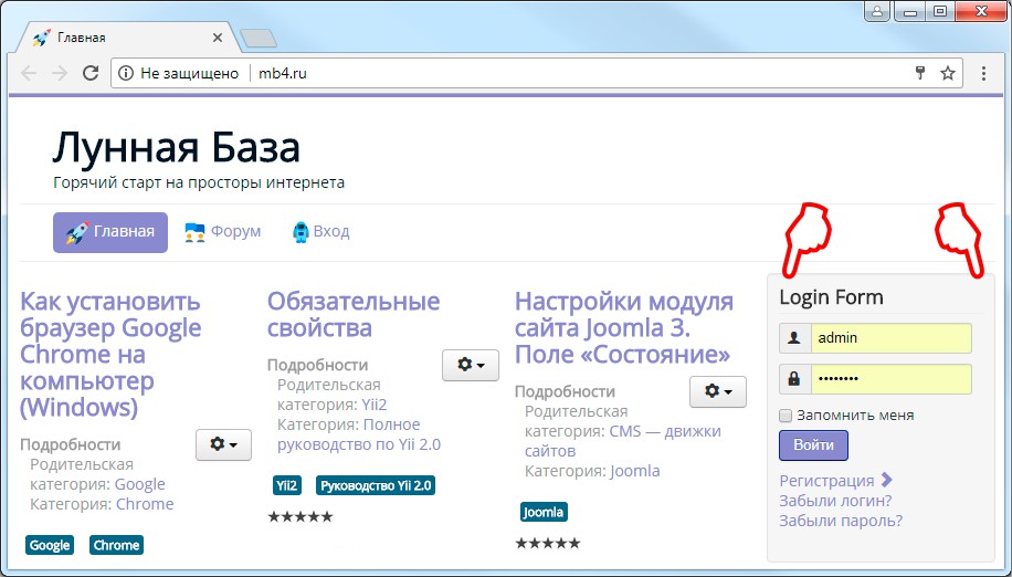 как выглядит Login Form на сайте