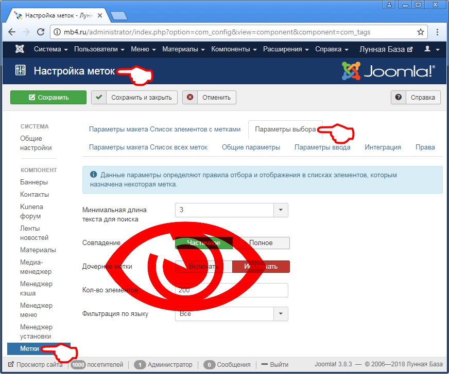 Внешний вид Вкладки «Параметры выбора» глобальных настроек менеджера меток в админке Joomla