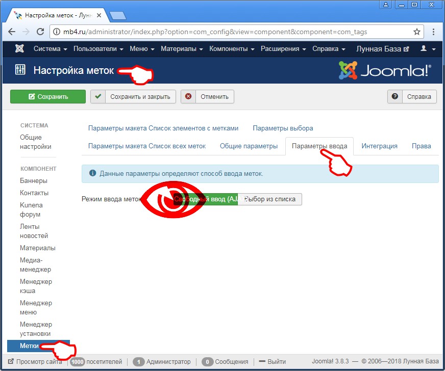 Внешний вид Вкладки «Параметры ввода» глобальных настроек менеджера меток в админке Joomla