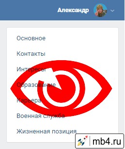 Основное меню разделов персональной информации пользователя ВКонтакте